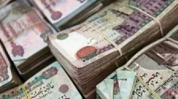 زيادة المعاشات.. موعد صرف مستحقات فبراير بالزيادة الجديدة عبر المنافذ المعتمدة